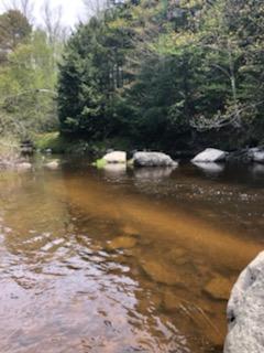 81 Old County Road Stockton Springs, ME 04981 - Photo 50 of 52 28646