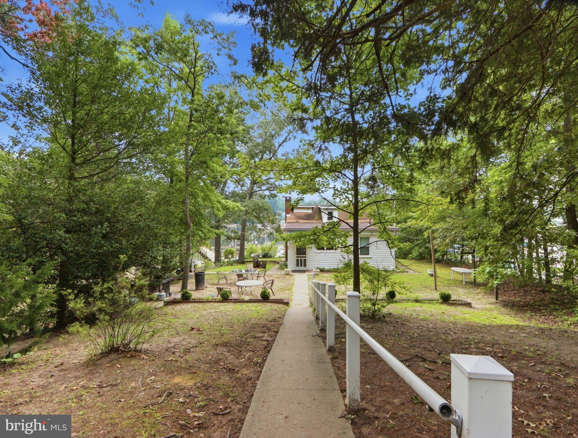 Serene pathway through lush greenery.