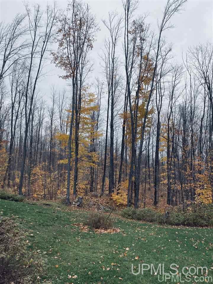 19608 Aldrich Road Chassell, MI 49916 - Photo 48 of 49 Gallery Image 48