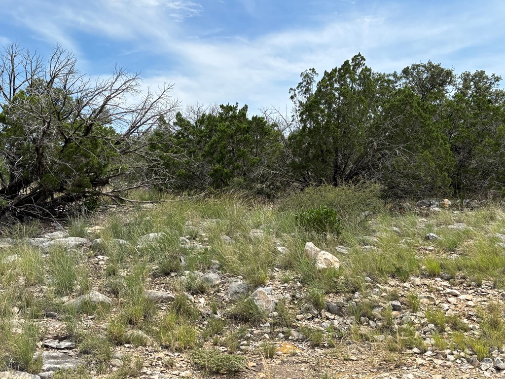 667 Other Rocksprings, TX 78880 - Photo 23 of 30