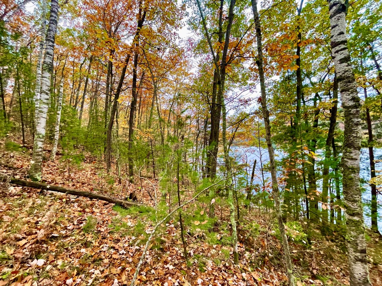 On On Witches Lake Road Woodruff, WI 54568 - Photo 2 of 13 Gallery Image 2