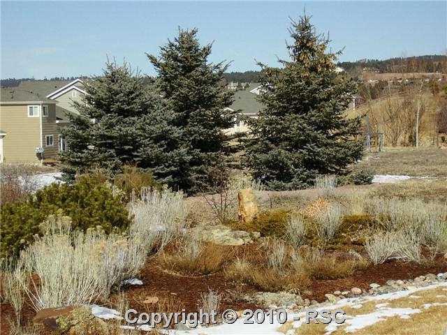 1060 Bowstring Road Monument, CO 80132 - Photo 10 of 10