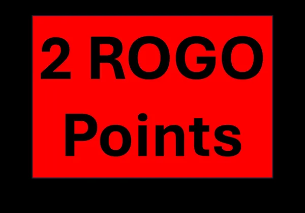 a view of a flower garden