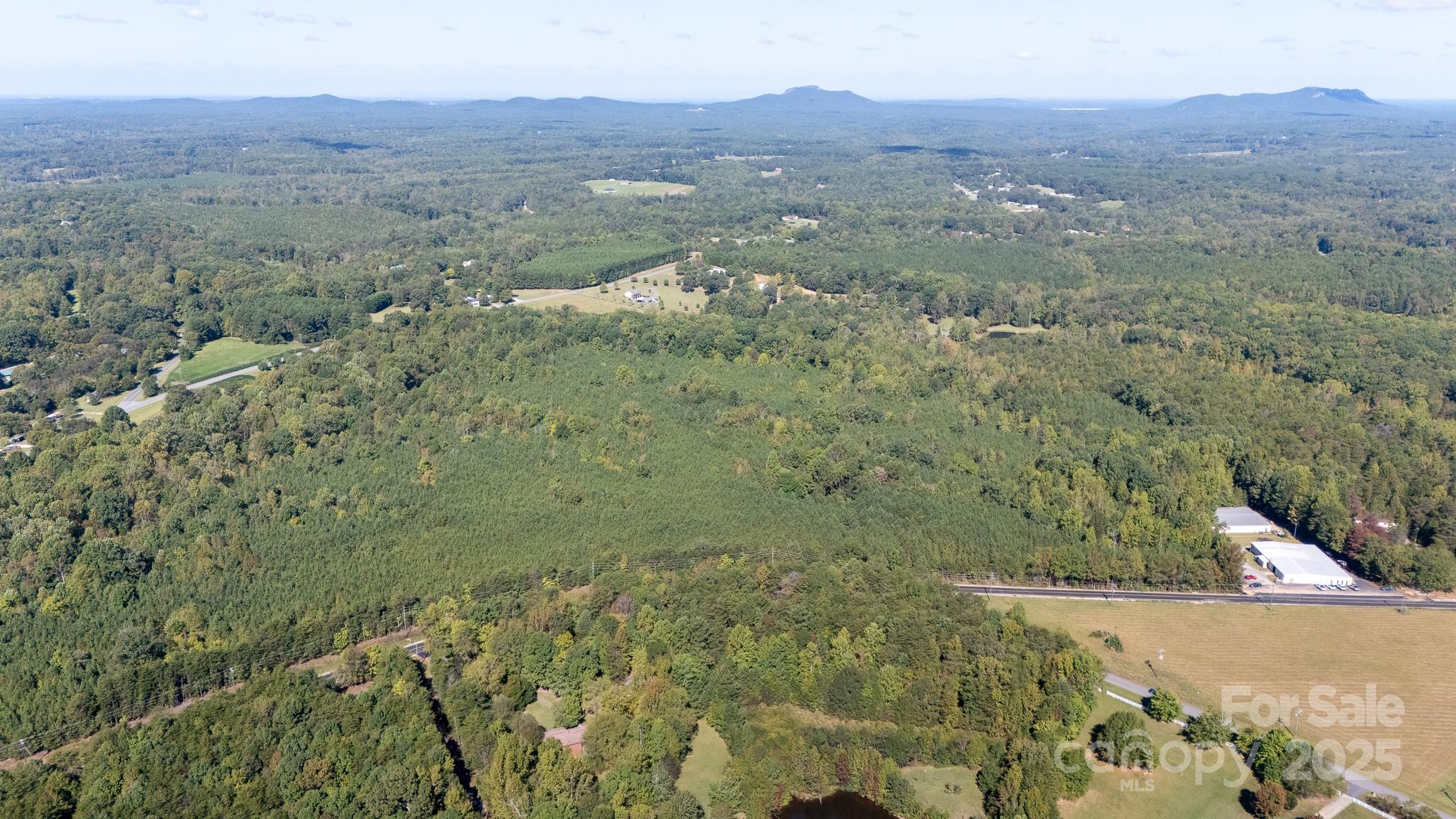 Lot 3 Rhyne Road Clover, SC 29710 - Photo 2 of 17 a view of a forest with mountains in the background
