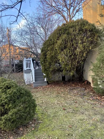 a view of a yard with plants and a large tree