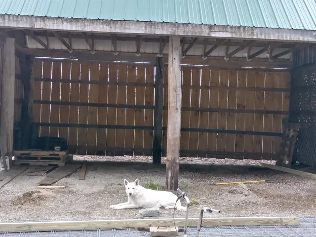 $525,000 | 45 Effingham Road, Ossipee, NH 03864