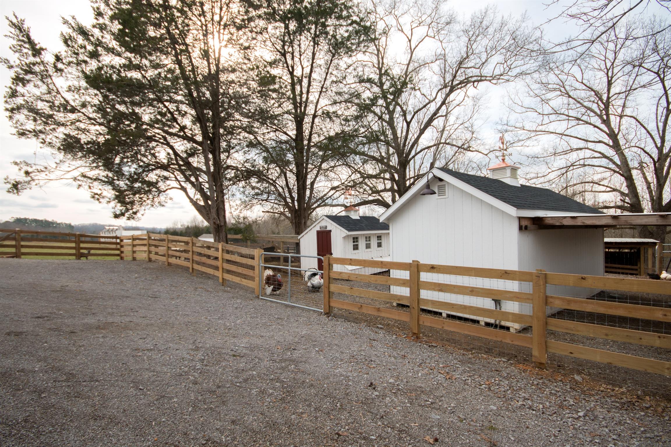 6318 Cairo Bend Road Lebanon, TN 37087 - Photo 23 of 29 Live the Country Life with a Chicken Coop & Greenhouse!