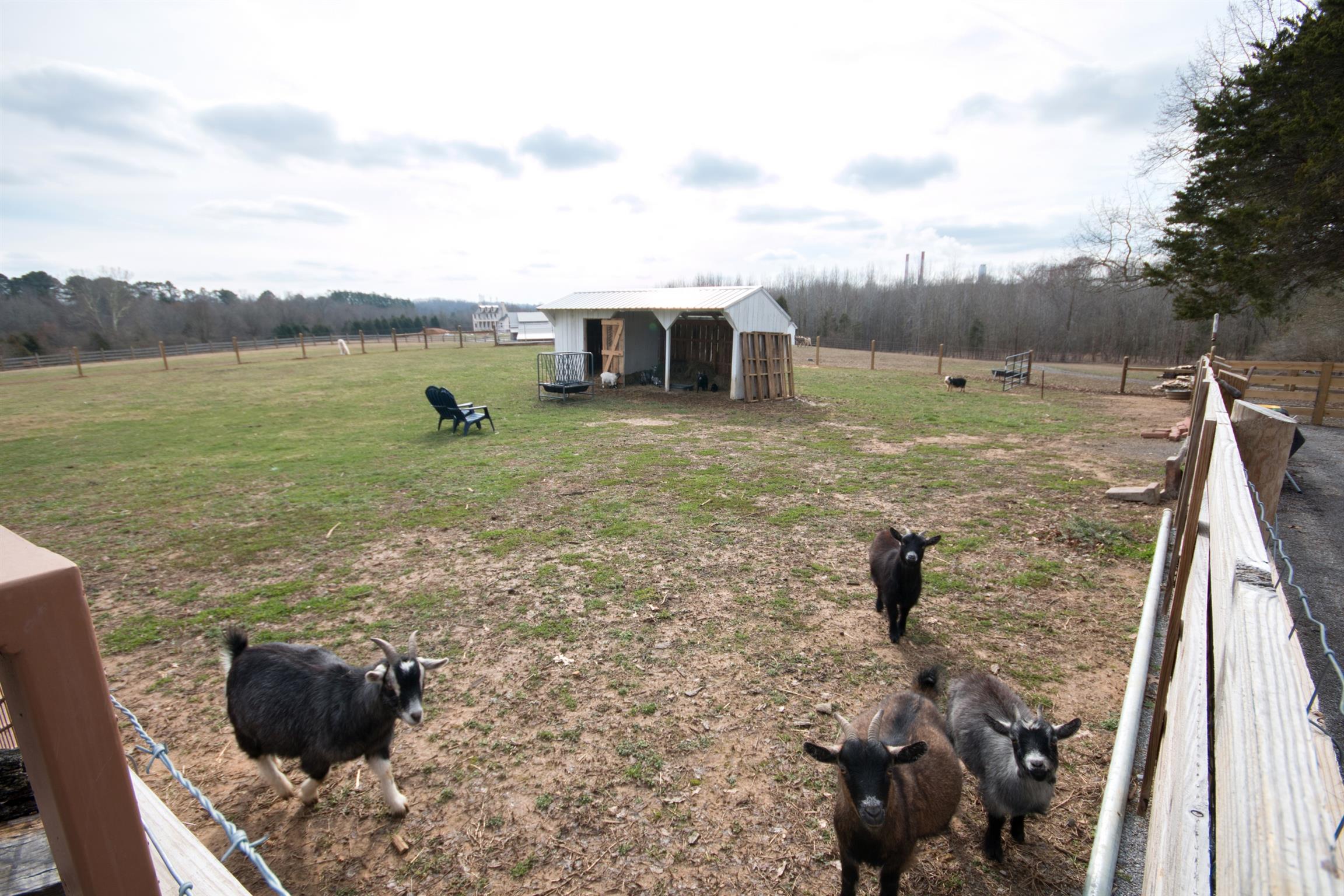 6318 Cairo Bend Road Lebanon, TN 37087 - Photo 24 of 29 Plenty of Room for your Animals.