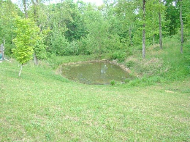 5093 Furnace Road Stanton, KY 40380 - Photo 40 of 63 Photo 40