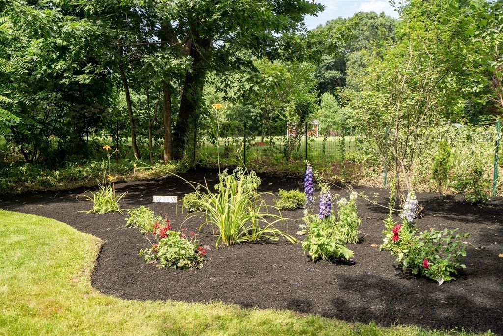 357 Lincoln Street Lexington, MA 02421 - Photo 29 of 29 a view of a garden with plants