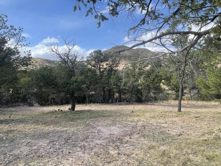 175 Hop Canyon Road Magdalena, NM 87825 - Photo 44 of 55 Gallery Image 44