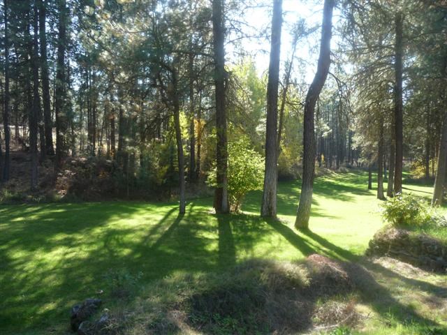 26801 West Drumheller Road Cheney, WA 99004 - Photo 2 of 20