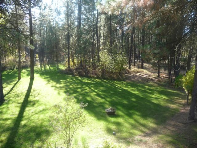 26801 West Drumheller Road Cheney, WA 99004 - Photo 19 of 20