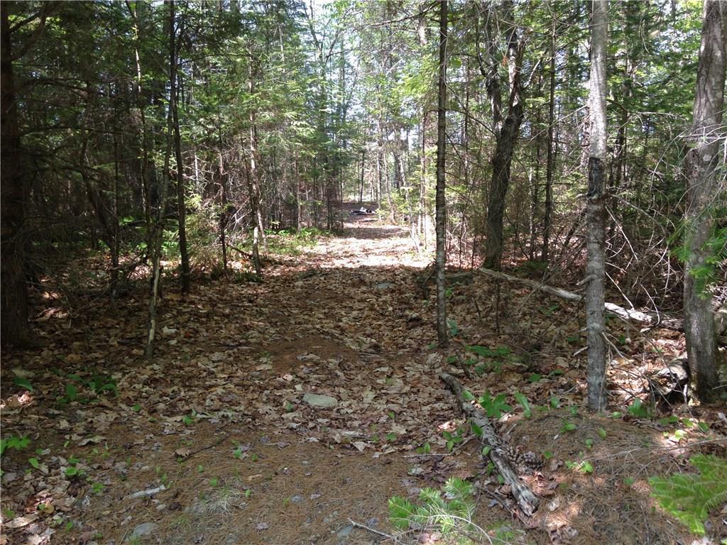 Tbd Tbd Hardscrabble Road Dover-Foxcroft, ME 04426 - Photo 9 of 10 Photo