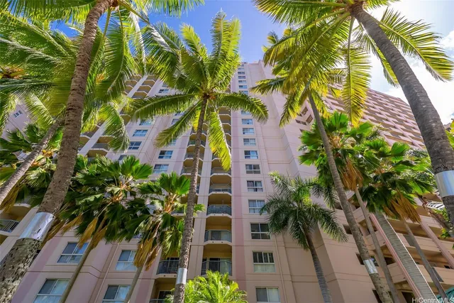 a view of a palm plant that is in front of a building