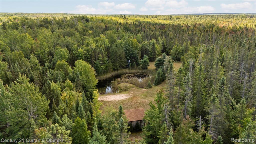 3265 Roost Road Onaway, MI 49765 - Photo 41 of 51