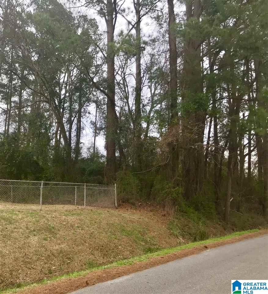 0 Cave Road, Unit LOT 3 AND 4 Anniston, AL 36206 - Photo 2 of 6