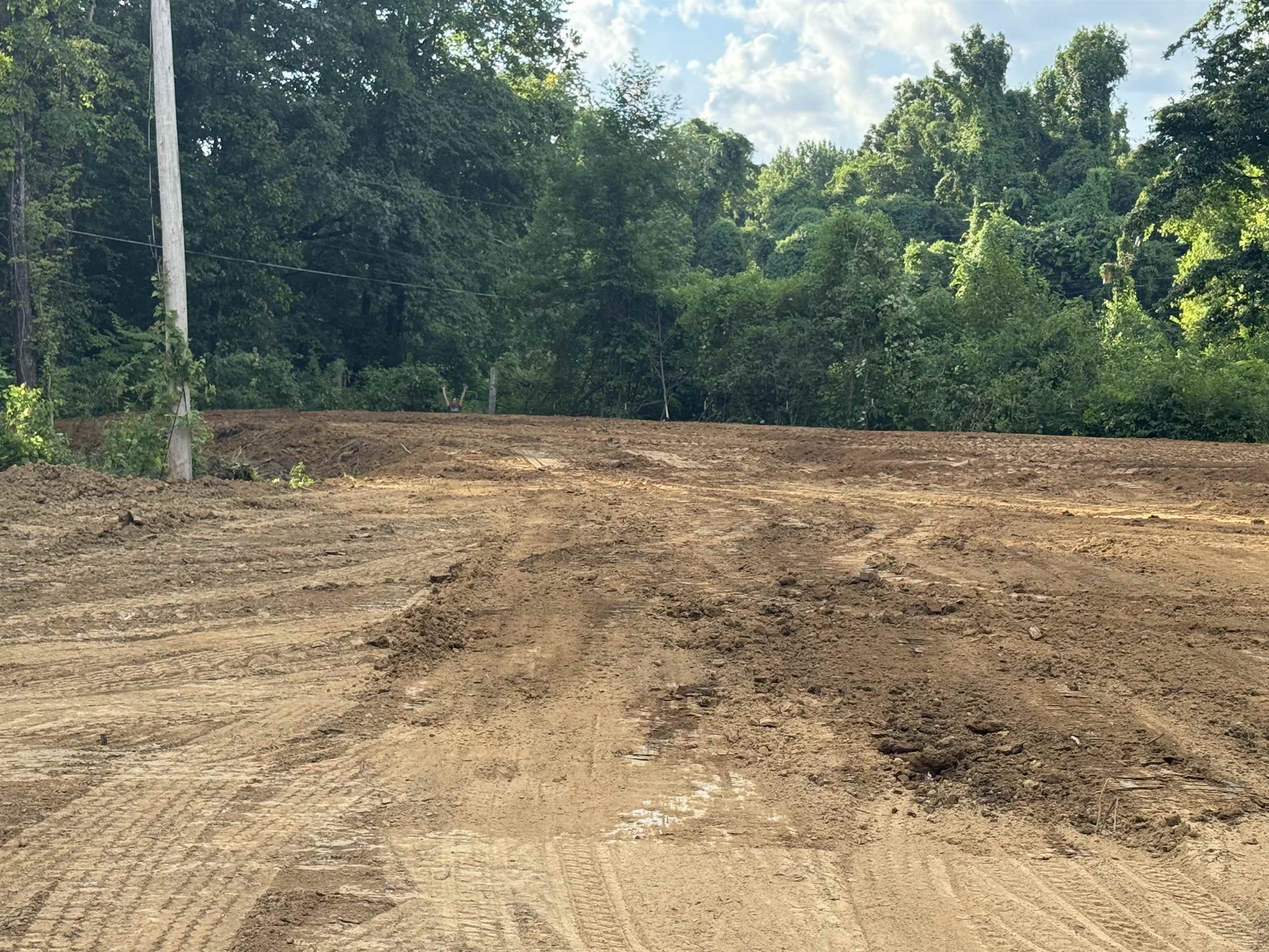 867 East Alcy Road Memphis, TN 38106 - Photo 2 of 6 View of undeveloped land