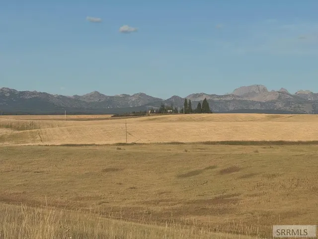 $520,000 | Tbd Tbd Woodrush Road, Felt, ID 83424