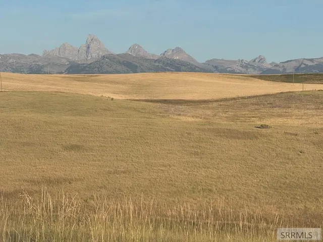 $520,000 | Tbd Tbd Woodrush Road, Felt, ID 83424