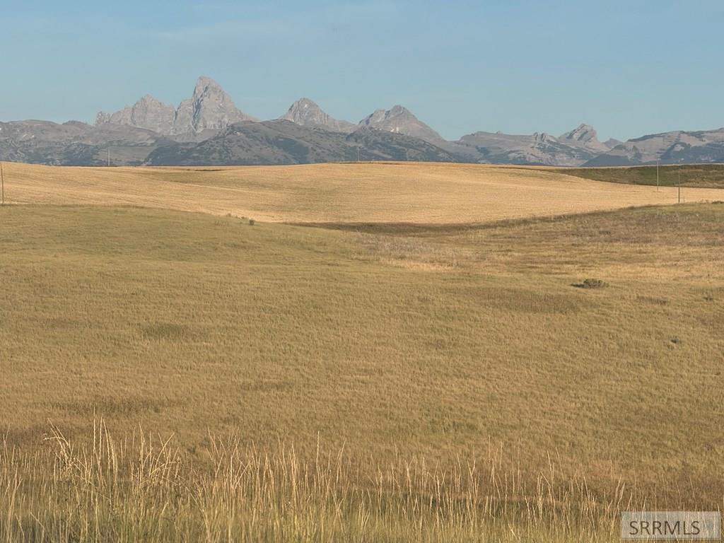 Tbd Tbd Woodrush Road Felt, ID 83424 - Photo 4 of 12