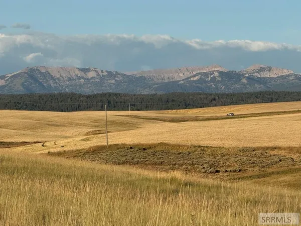 $495,000 | Tbd Tbd Woodrush Road, Felt, ID 83424