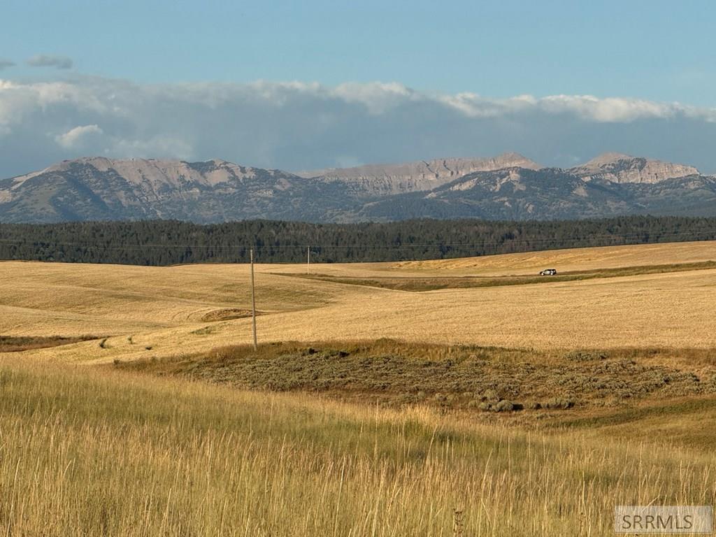 Tbd Tbd Woodrush Road Felt, ID 83424 - Photo 7 of 12