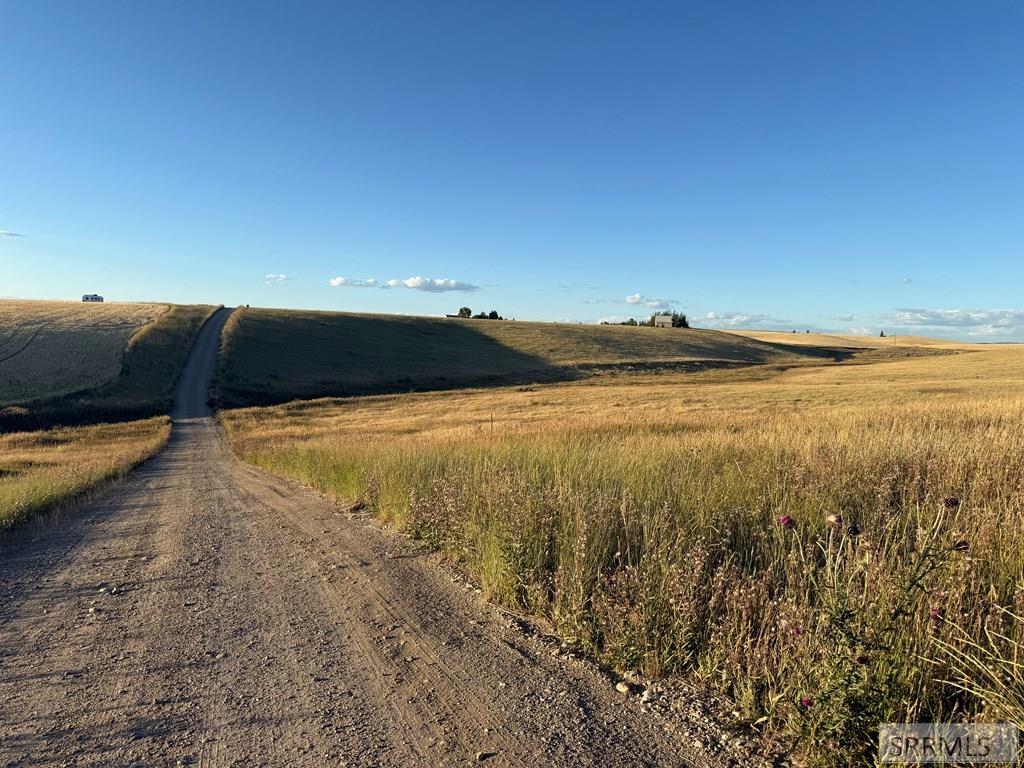 Tbd Tbd Woodrush Road Felt, ID 83424 - Photo 8 of 12