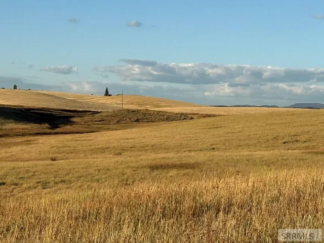 $520,000 | Tbd Tbd Woodrush Road, Felt, ID 83424