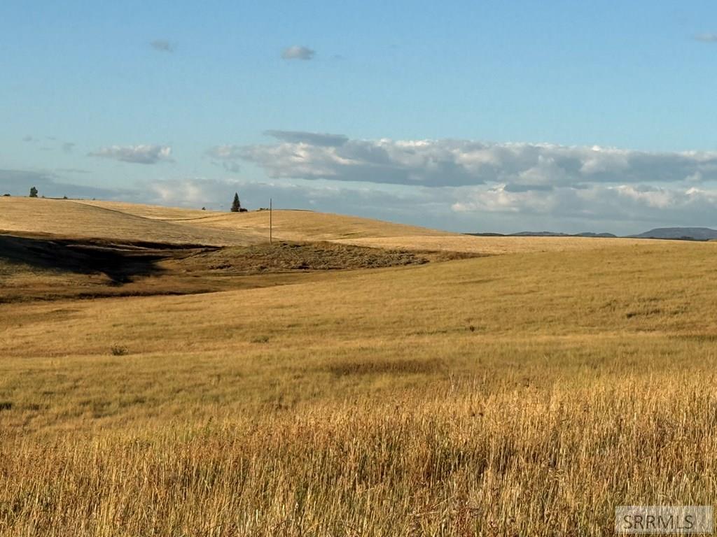 Tbd Tbd Woodrush Road Felt, ID 83424 - Photo 10 of 12