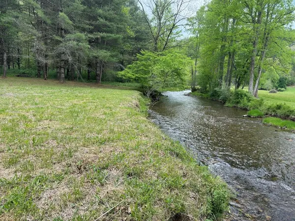 a view of a yard with a trees