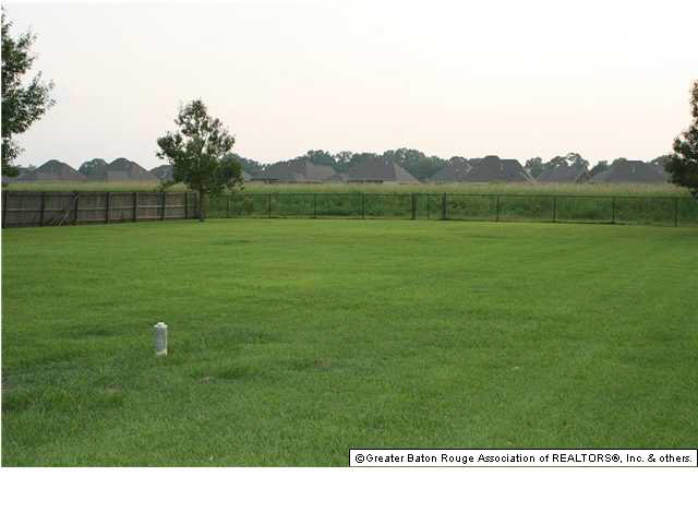 16449 Jay Road Prairieville, LA 70769 - Photo 12 of 36 Gallery Image 12