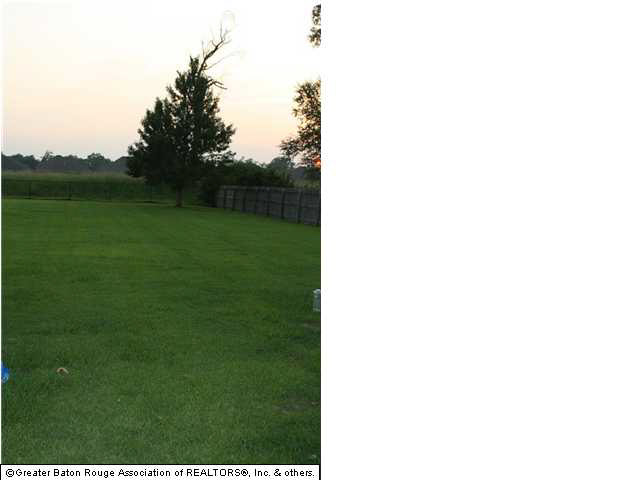 16449 Jay Road Prairieville, LA 70769 - Photo 13 of 36 Gallery Image 13