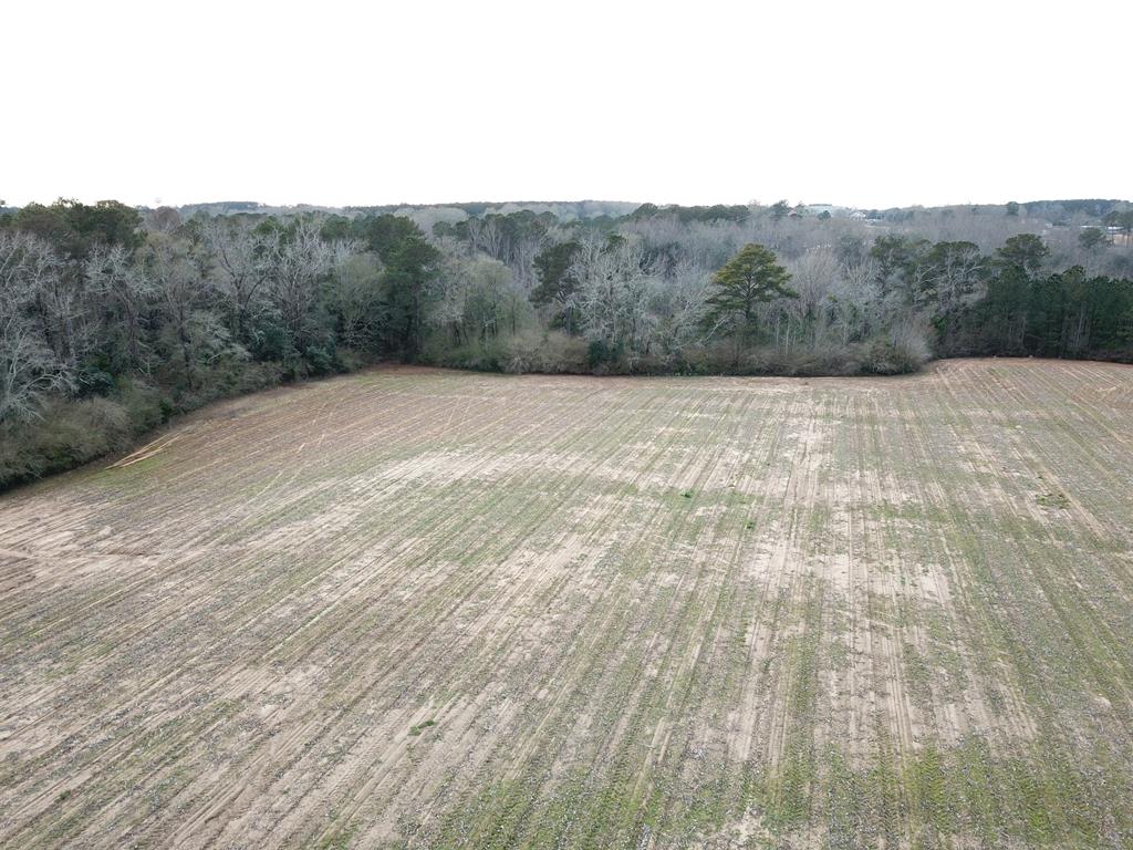 50.45-acres Trawick Road Dothan, AL 36301 - Photo 42 of 62