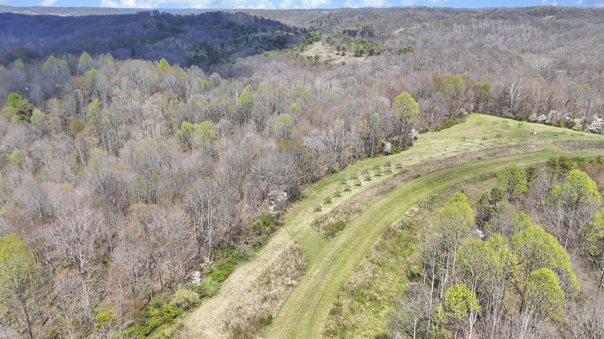 0 Covered Bridge Road Vinton, OH 45686 - Photo 6 of 37