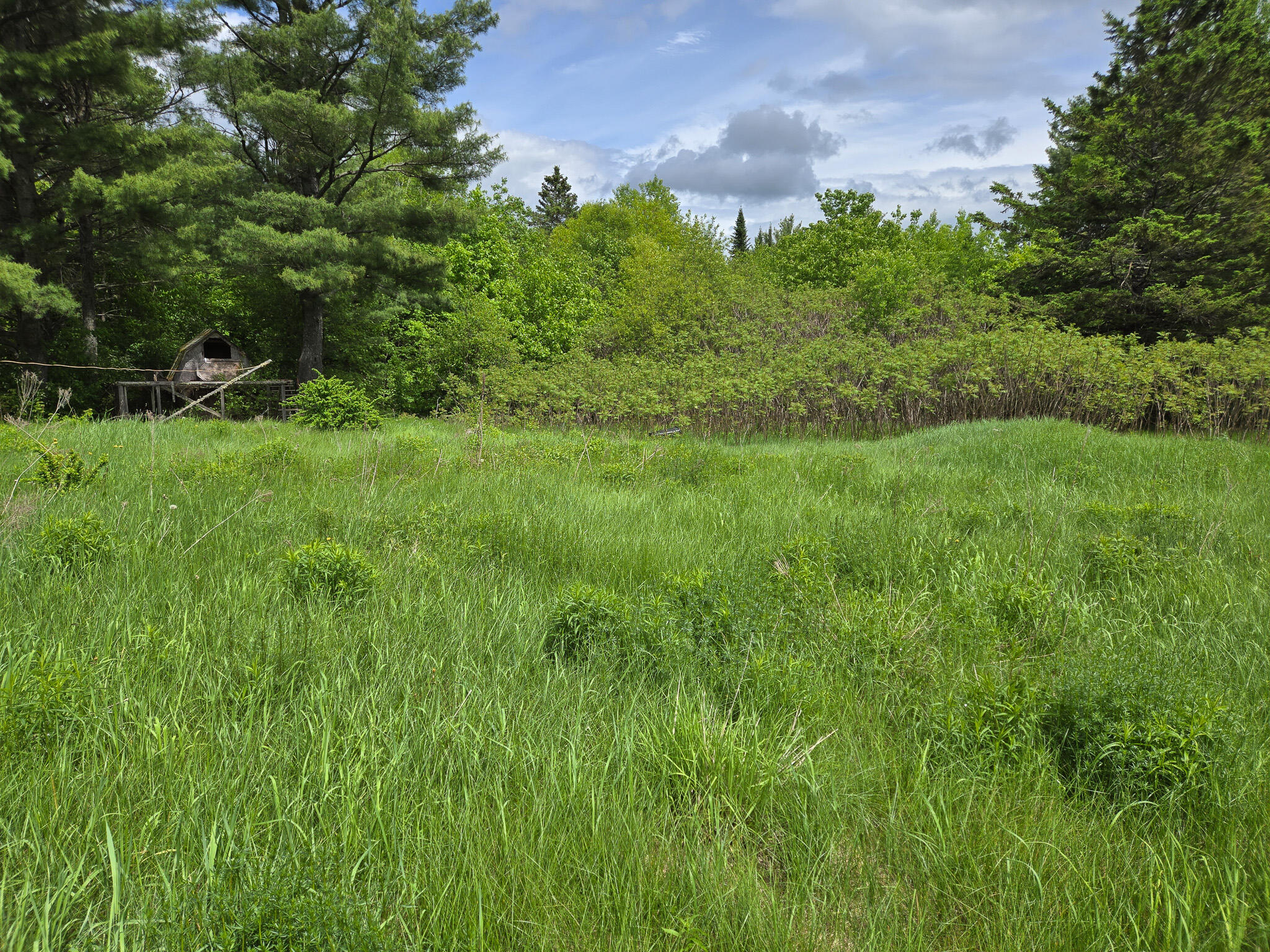 291 Pea Ridge Road Chester, ME 04457 - Photo 10 of 34 10