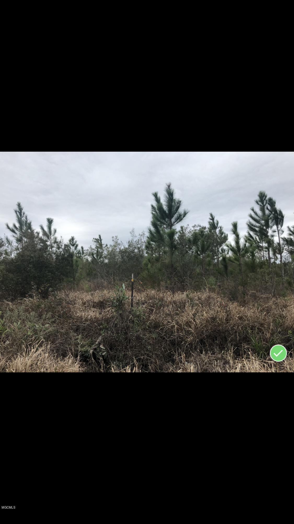 0 Carter's Road Moss Point, MS 39562 - Photo 2 of 4 F05815DB-0590-4EDB-B336-90712645048D