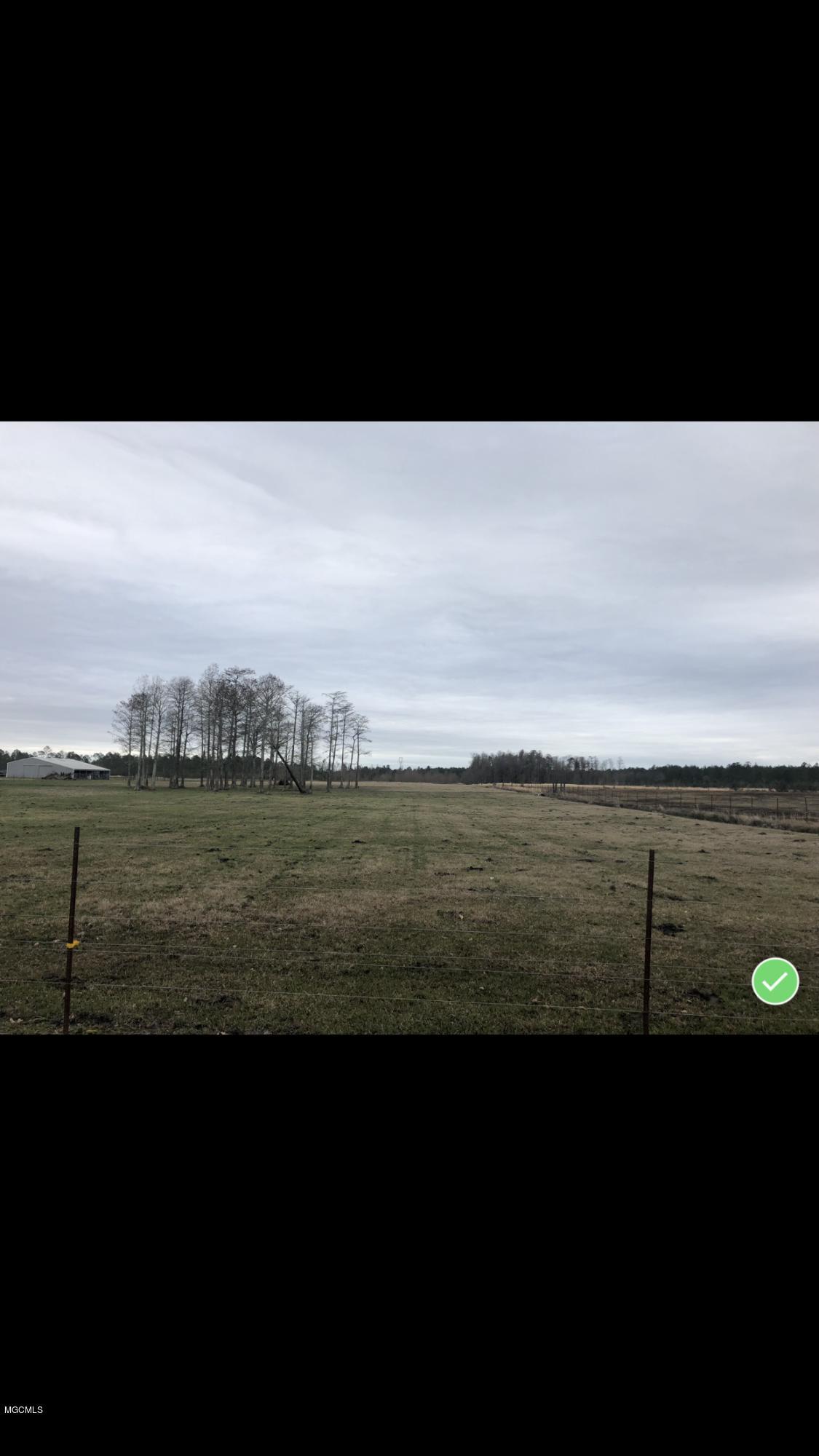 0 Carter's Road Moss Point, MS 39562 - Photo 3 of 4 2638223D-F26A-42F5-A053-27FEAC6CEB8B