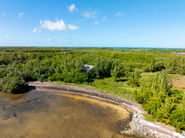 a view of a field with an ocean
