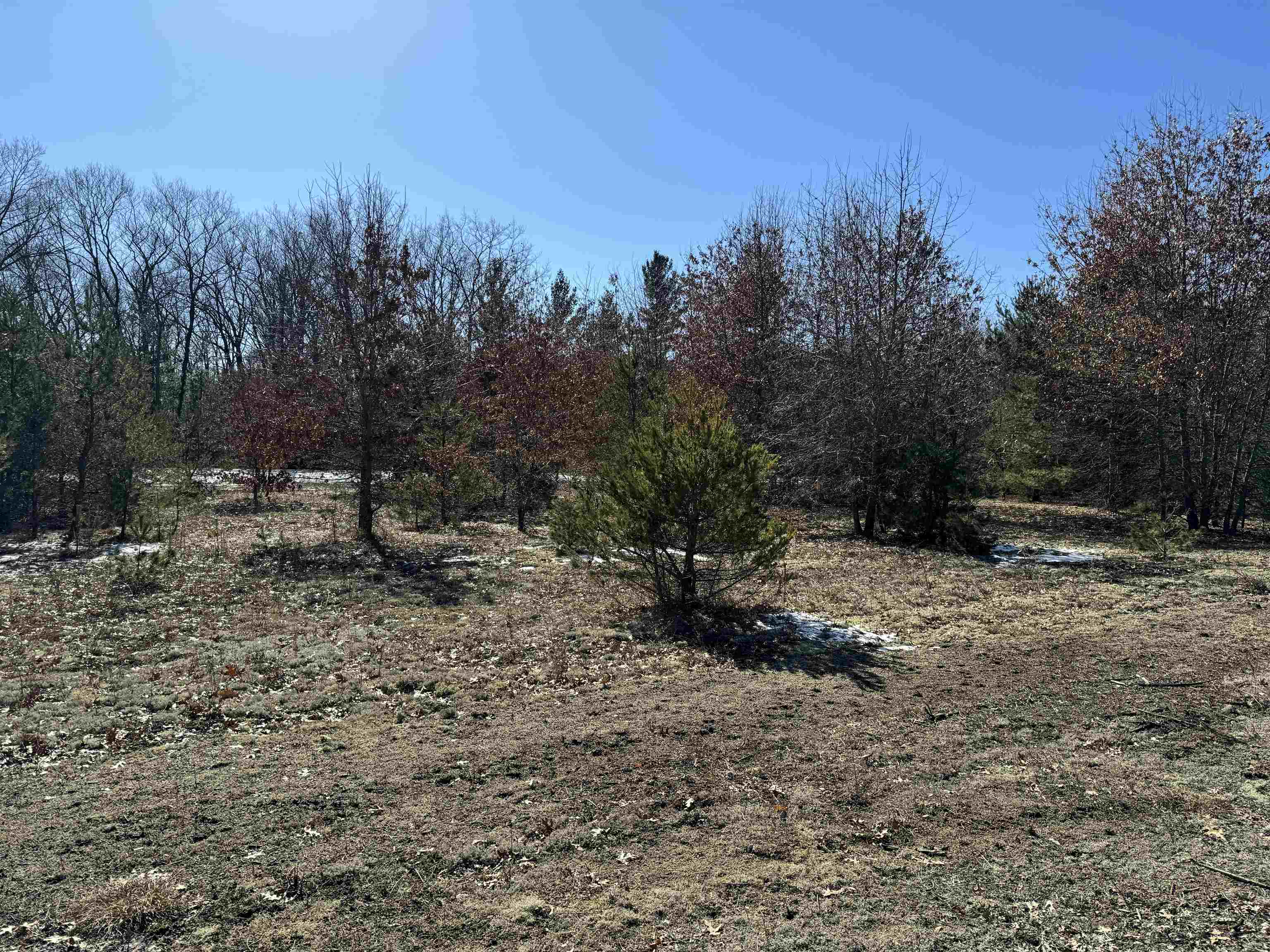 Vl West Sanborn Road Lake City, MI 49651 - Photo 5 of 9