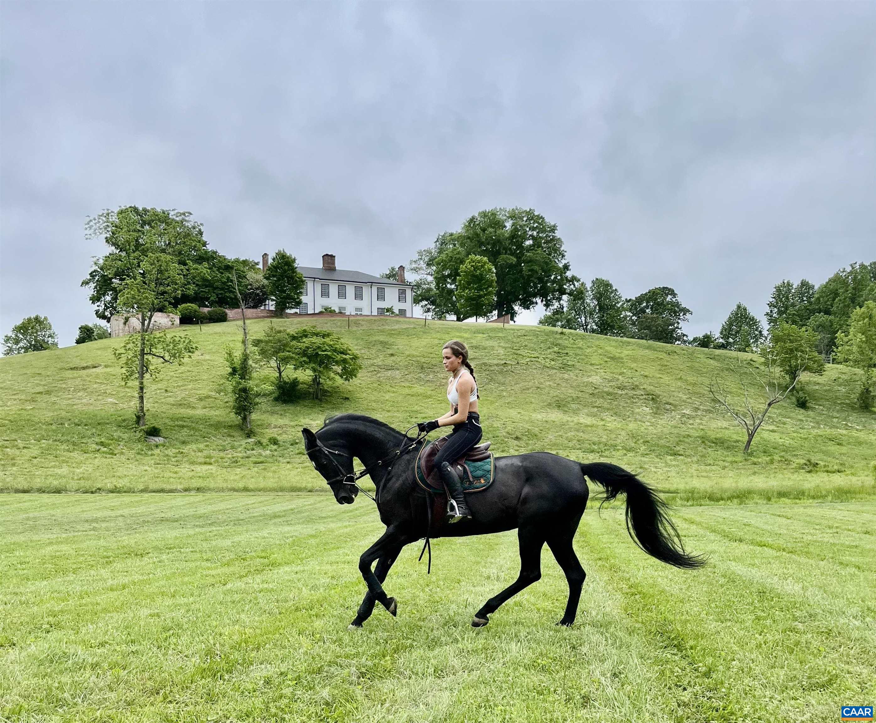 1859 Rivanna Farm Charlottesville, VA 22911 - Photo 41 of 45 Lovely field for riding or a potential polo field.