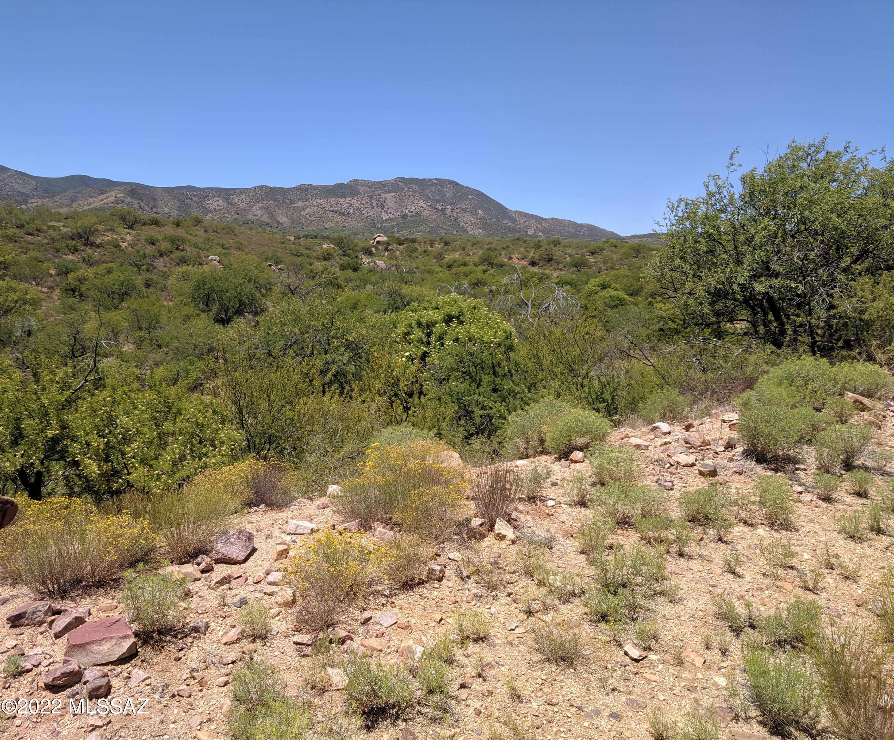 34262 South Star View Road, Unit LOT E Oracle, AZ 85623 - Photo 1 of 3