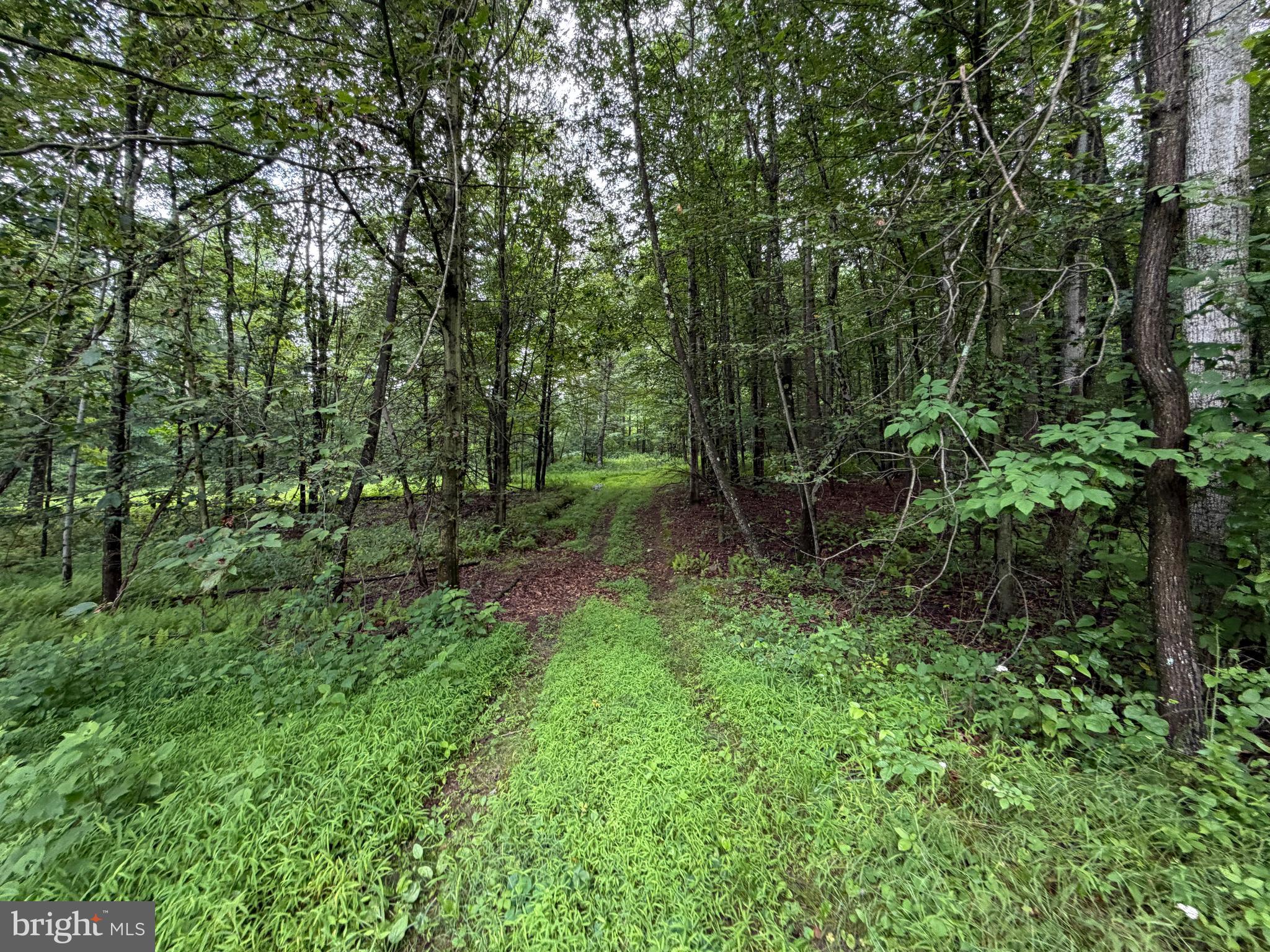 17147 Sugar Run Road Shirleysburg, PA 17260 - Photo 134 of 148