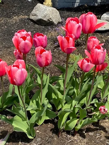 $599,000 | 30 Chapel Street, Unit B, Gloucester, MA 01930