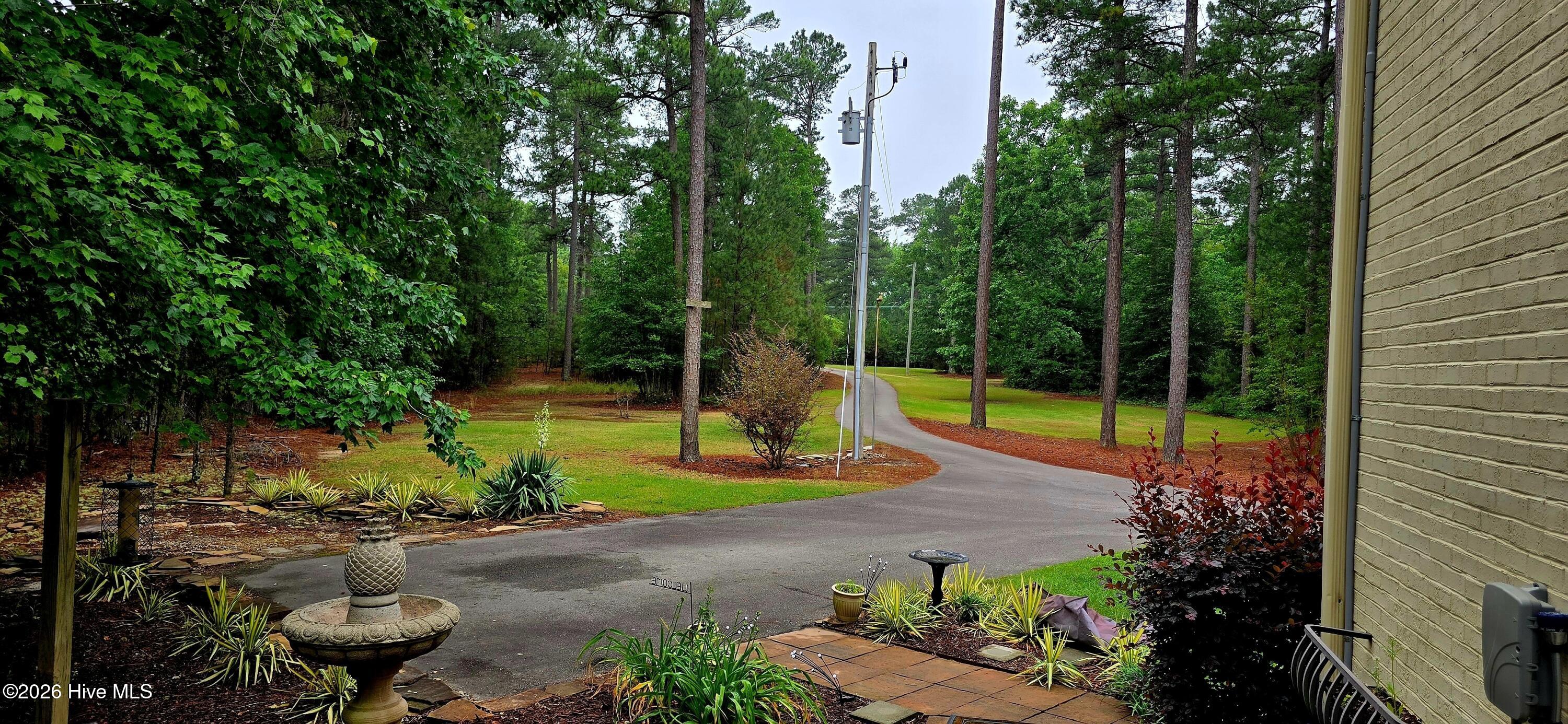1240 Doubs Chapel Road West End, NC 27376 - Photo 3 of 51