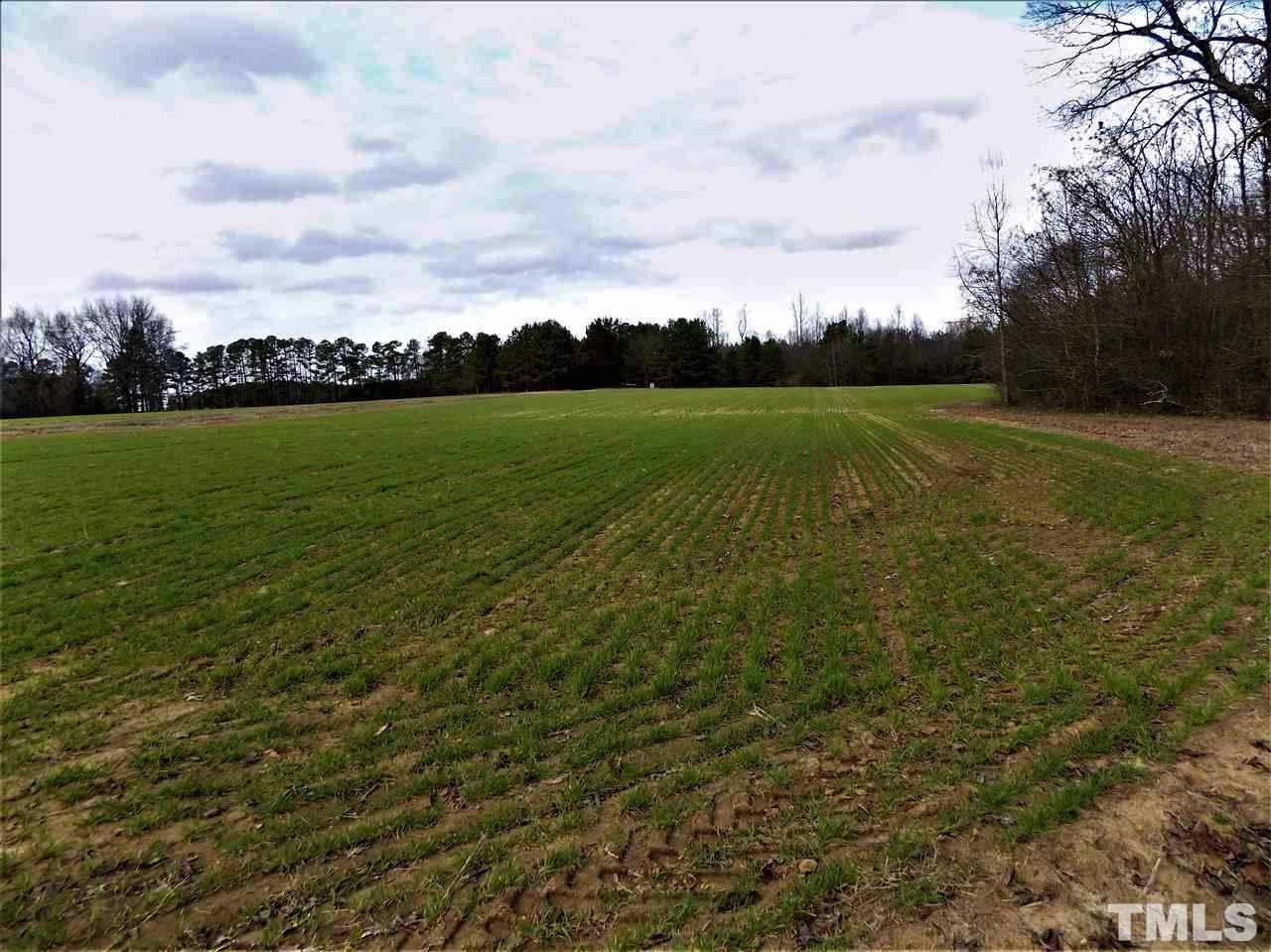 7327 Buck Road Wendell, NC 27591 - Photo 3 of 12