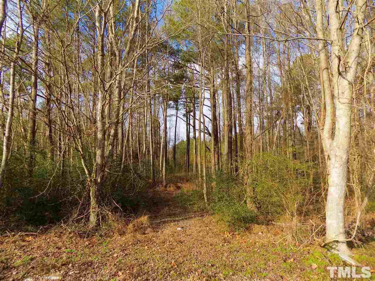 7327 Buck Road Wendell, NC 27591 - Photo 8 of 12