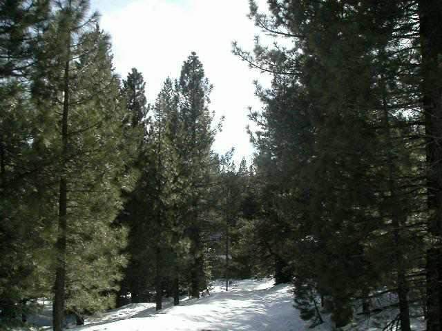 11969 Kitzbuhel Road Truckee, CA 96161 - Photo 1 of 5 Gallery Image 1