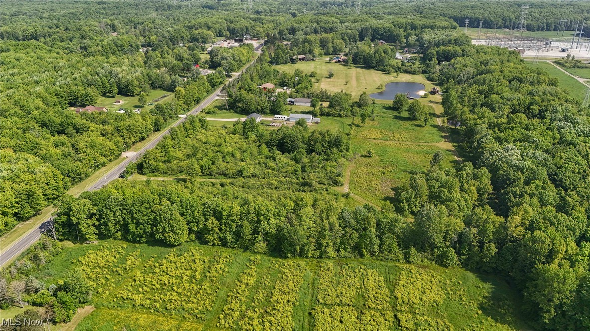 Brakeman Road Painesville, OH 44077 - Photo 17 of 24 Aerial view of property's location with a forest and a nearby body of water