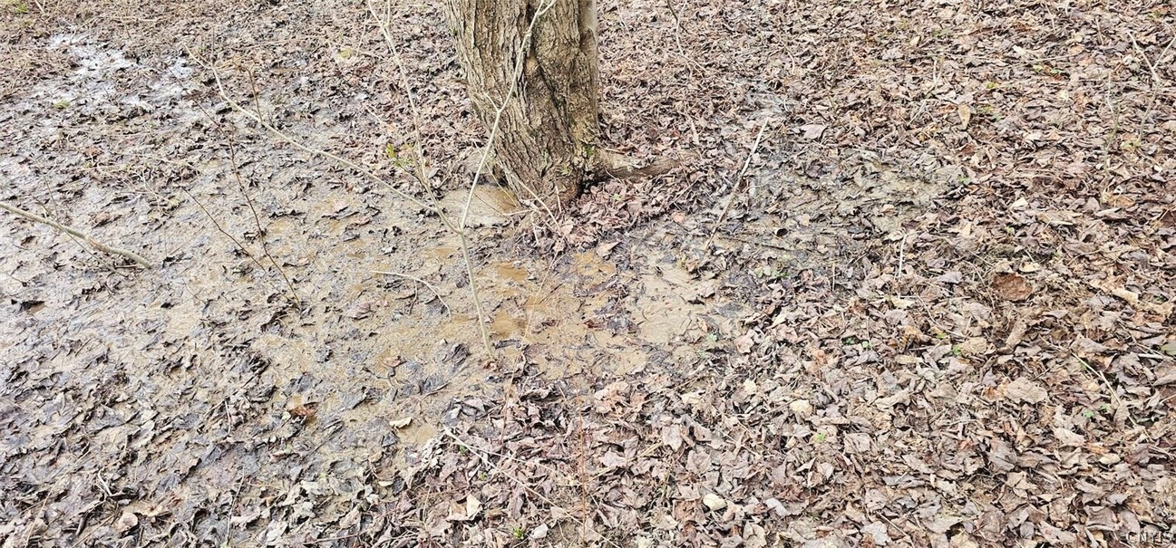 Level Green Road Berkshire, NY 13736 - Photo 11 of 35